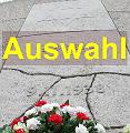 Auswahl
